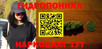 индика Комсомольск-на-Амуре
