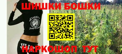 индика Комсомольск-на-Амуре