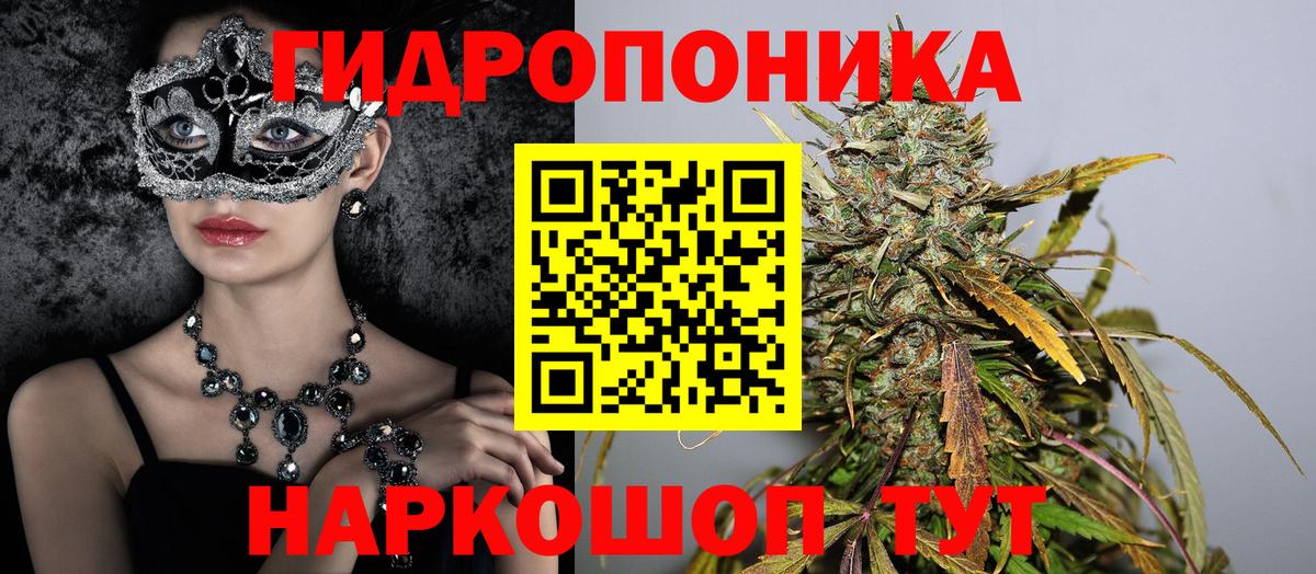 Каннабис конопля  Вход с VPN  Бошки марихуана VHQ  Кимры 